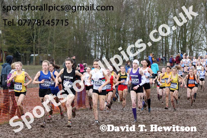 Womens under-17s 2018 British Inter Counties Cross Country Champs., Prestwold Hall, Loughborough. Photo: David T. Hewitson/Sports for All Pics